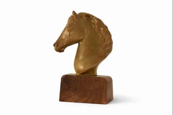 سردیس سرامیک اسب